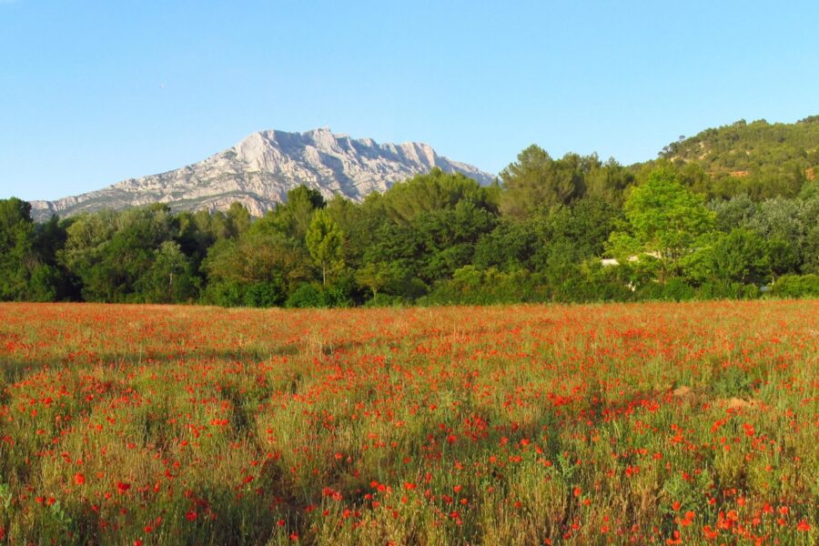 Design sans titre - 21