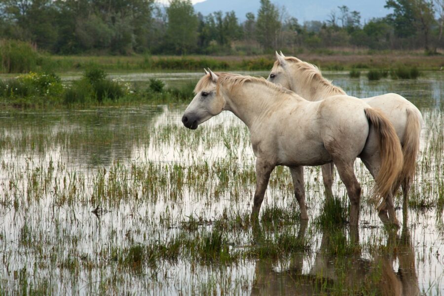 Design sans titre - 19